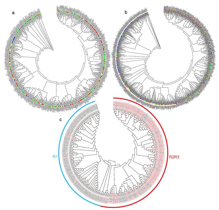 https://cdn.ncbi.nlm.nih.gov/pmc/blobs/bcc7/7914948/02fa075ceb8a/plants-10-00303-g003.jpg