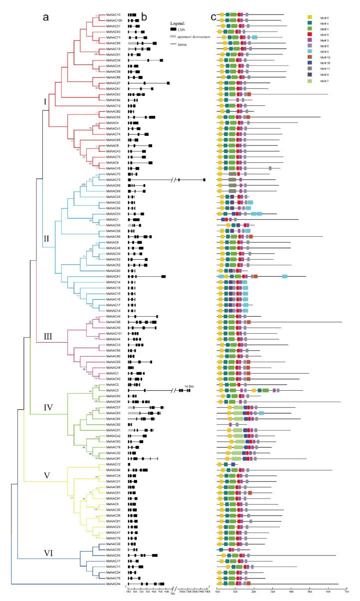 https://cdn.ncbi.nlm.nih.gov/pmc/blobs/bcc7/7914948/778a36070956/plants-10-00303-g004.jpg