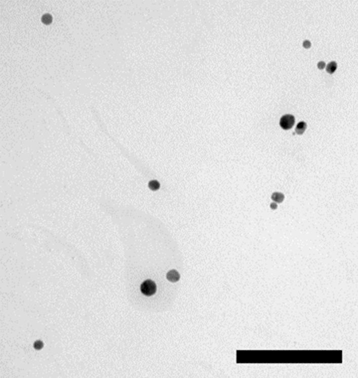 https://cdn.ncbi.nlm.nih.gov/pmc/blobs/bcc7/8522010/7d84553c040e/12989_2021_425_Fig1_HTML.jpg