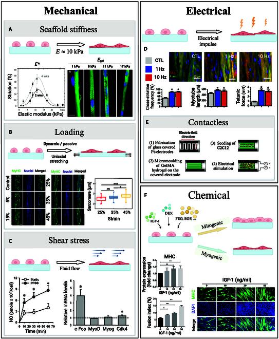 https://cdn.ncbi.nlm.nih.gov/pmc/blobs/bcca/12079140/270b9ed4cfa4/cbsystems.0279.fig.003.jpg