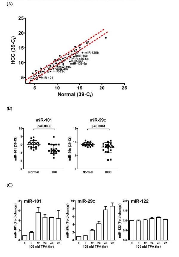 https://cdn.ncbi.nlm.nih.gov/pmc/blobs/bcca/2874775/c5b48ec09719/1423-0127-17-35-2.jpg