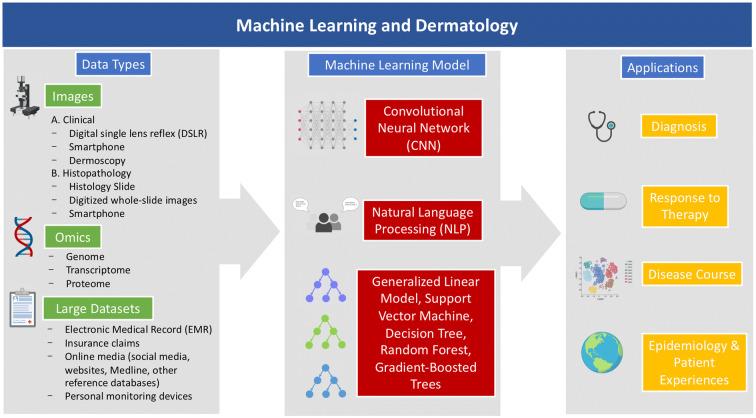 https://cdn.ncbi.nlm.nih.gov/pmc/blobs/bccb/7211783/0e0d38a9c71f/13555_2020_372_Fig2_HTML.jpg