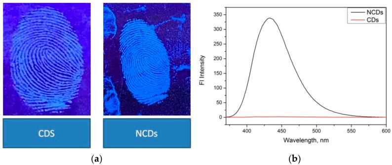 https://cdn.ncbi.nlm.nih.gov/pmc/blobs/bccb/8839162/02b88b696b4c/nanomaterials-12-00400-g011.jpg