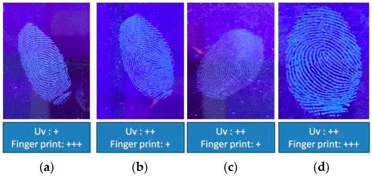 https://cdn.ncbi.nlm.nih.gov/pmc/blobs/bccb/8839162/423b670f4afd/nanomaterials-12-00400-g010a.jpg