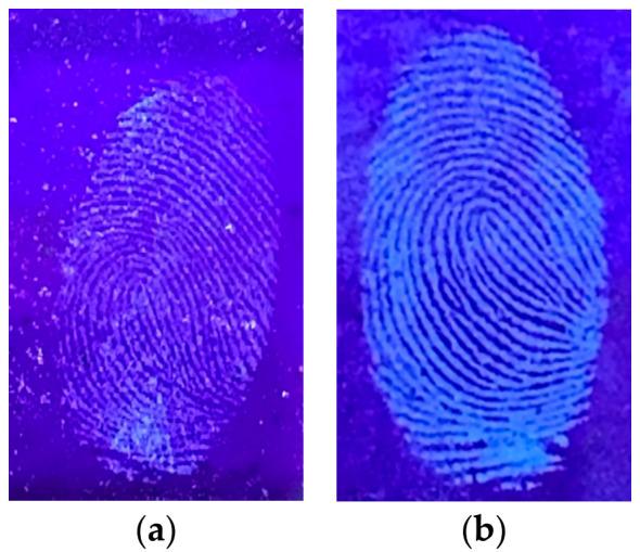 https://cdn.ncbi.nlm.nih.gov/pmc/blobs/bccb/8839162/c0086fce518f/nanomaterials-12-00400-g012.jpg