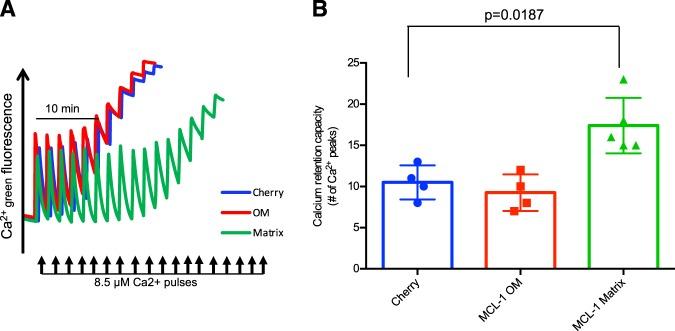 https://cdn.ncbi.nlm.nih.gov/pmc/blobs/bccc/7200794/66f131d41c64/41419_2020_2498_Fig4_HTML.jpg
