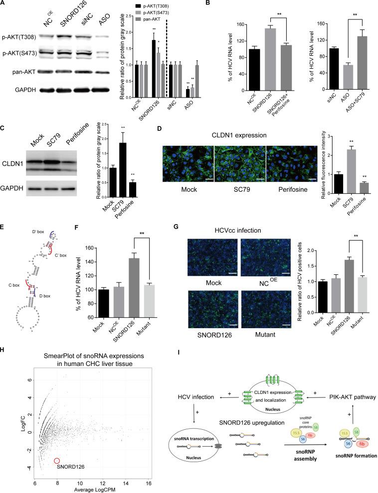 https://cdn.ncbi.nlm.nih.gov/pmc/blobs/bccc/7522514/759eaac7434a/fmicb-11-565590-g007.jpg