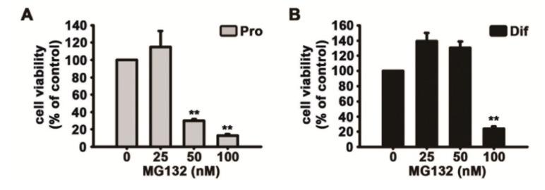https://cdn.ncbi.nlm.nih.gov/pmc/blobs/bccc/7692322/9bd6749cd488/biomolecules-10-01507-g004.jpg