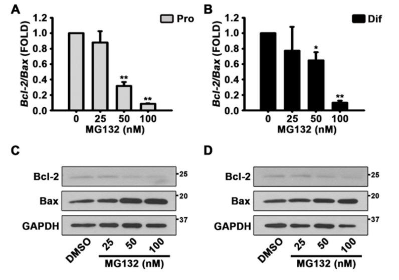 https://cdn.ncbi.nlm.nih.gov/pmc/blobs/bccc/7692322/c942f6fd4ce2/biomolecules-10-01507-g005.jpg