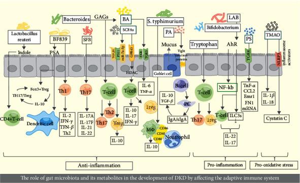 https://cdn.ncbi.nlm.nih.gov/pmc/blobs/bcce/10719010/14119515a59c/JDR2023-8871677.002.jpg