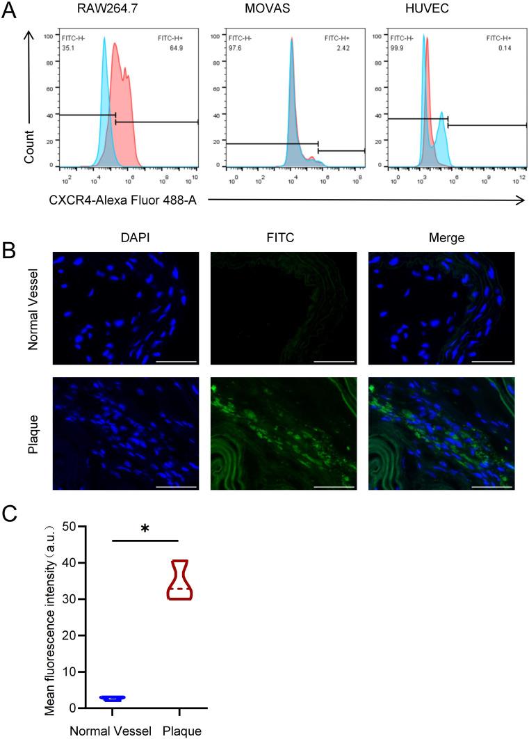 https://cdn.ncbi.nlm.nih.gov/pmc/blobs/bcce/12091238/379533415ae1/IJN-20-6205-g0003.jpg