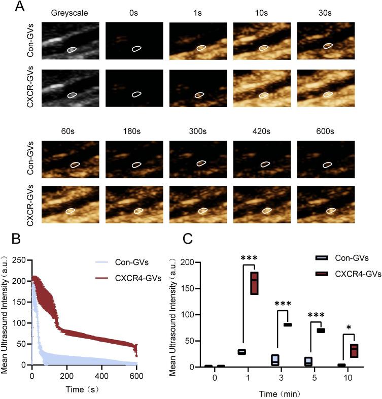 https://cdn.ncbi.nlm.nih.gov/pmc/blobs/bcce/12091238/b44d9f9c7b37/IJN-20-6205-g0007.jpg