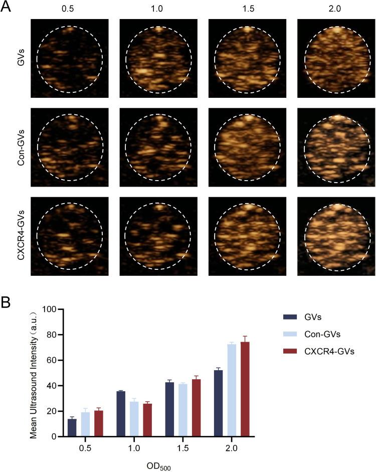 https://cdn.ncbi.nlm.nih.gov/pmc/blobs/bcce/12091238/e6b6279c8cbb/IJN-20-6205-g0005.jpg