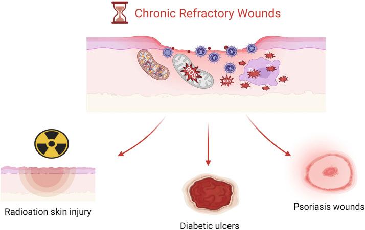 https://cdn.ncbi.nlm.nih.gov/pmc/blobs/bcd0/11327095/e5ee79a1d7dd/fphar-15-1439960-g002.jpg