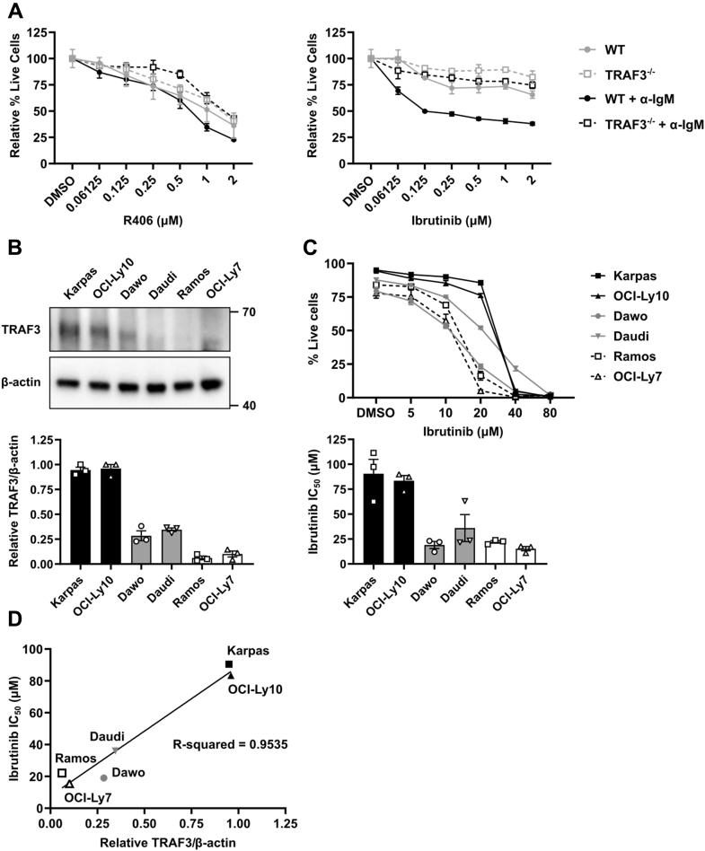 https://cdn.ncbi.nlm.nih.gov/pmc/blobs/bcd0/8042179/0e45b48a55f0/gr7.jpg