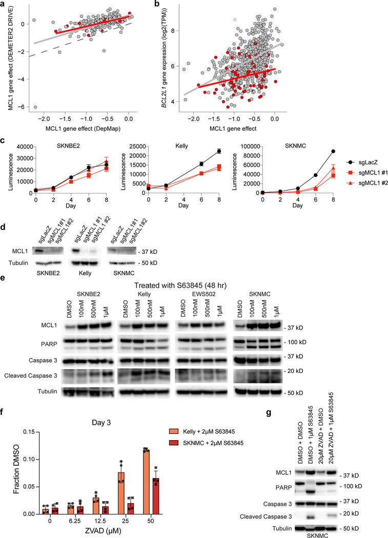 https://cdn.ncbi.nlm.nih.gov/pmc/blobs/bcd0/8049517/202656ae570a/nihms-1674737-f0012.jpg