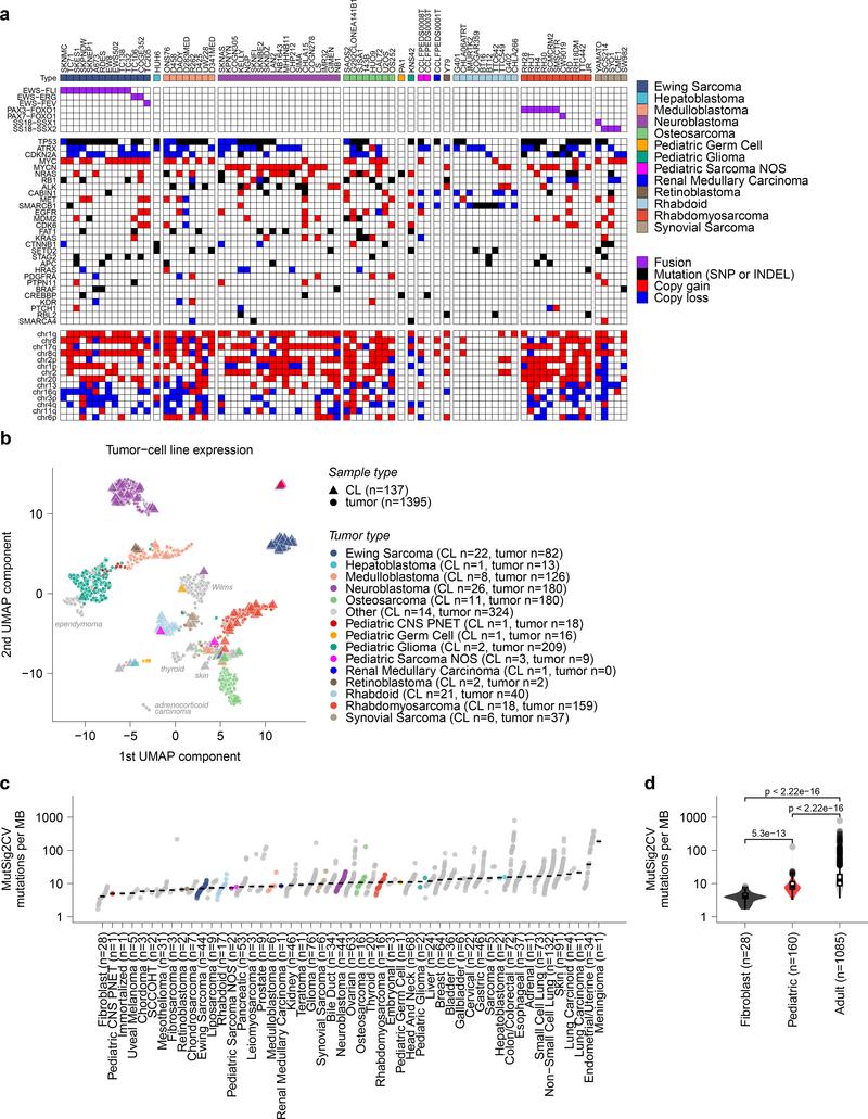 https://cdn.ncbi.nlm.nih.gov/pmc/blobs/bcd0/8049517/bd7a980bd2f7/nihms-1674737-f0001.jpg