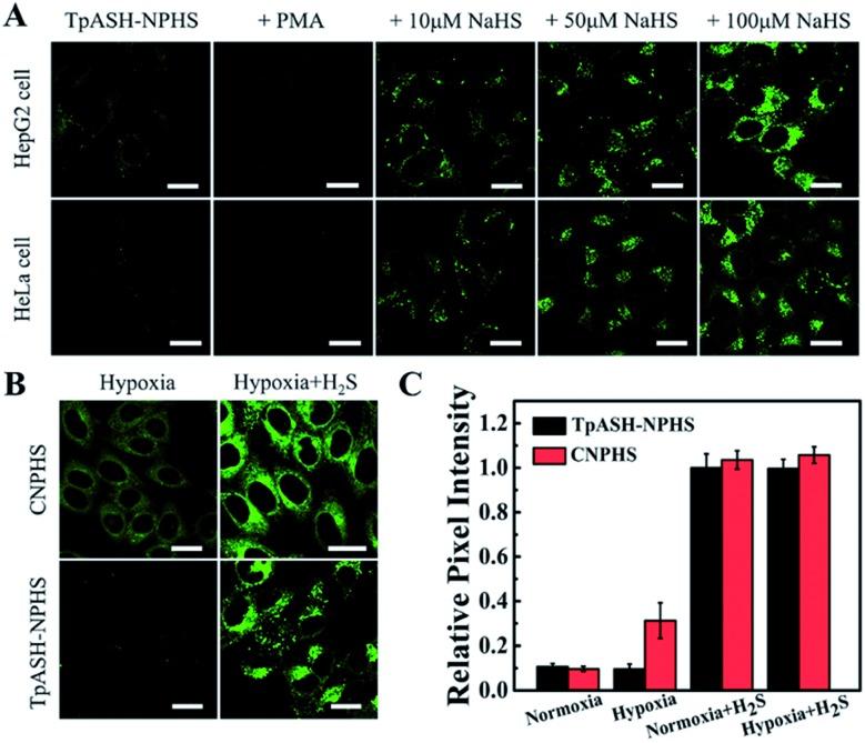 https://cdn.ncbi.nlm.nih.gov/pmc/blobs/bcd1/6243647/cafca6a1076b/c8sc03393e-f3.jpg