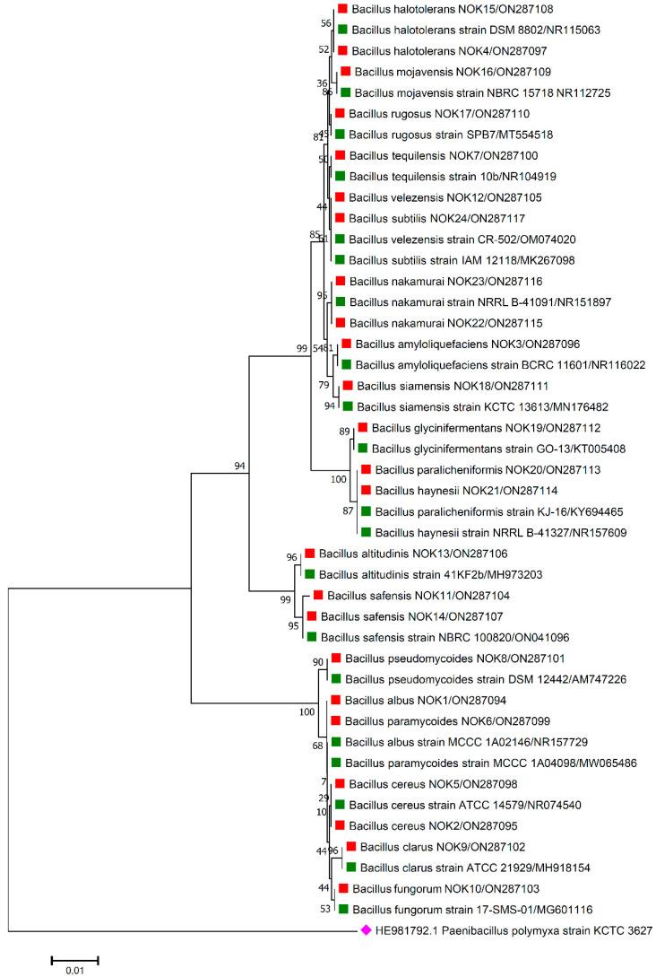 https://cdn.ncbi.nlm.nih.gov/pmc/blobs/bcd2/9609341/32fc26854668/pathogens-11-01088-g001.jpg