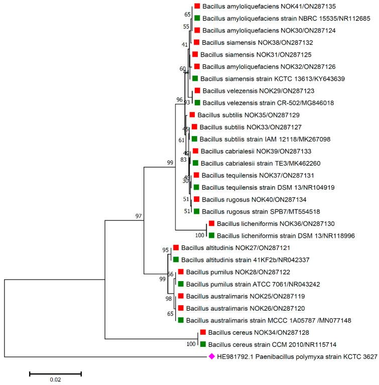 https://cdn.ncbi.nlm.nih.gov/pmc/blobs/bcd2/9609341/37839e5433ab/pathogens-11-01088-g003.jpg
