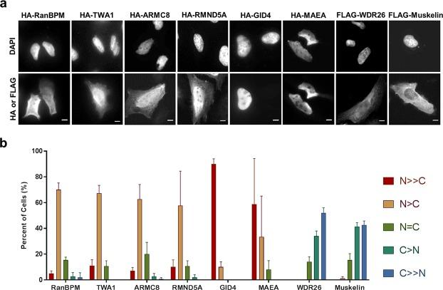 https://cdn.ncbi.nlm.nih.gov/pmc/blobs/bcd3/6614414/2d3b4f5e39d7/41598_2019_46279_Fig2_HTML.jpg