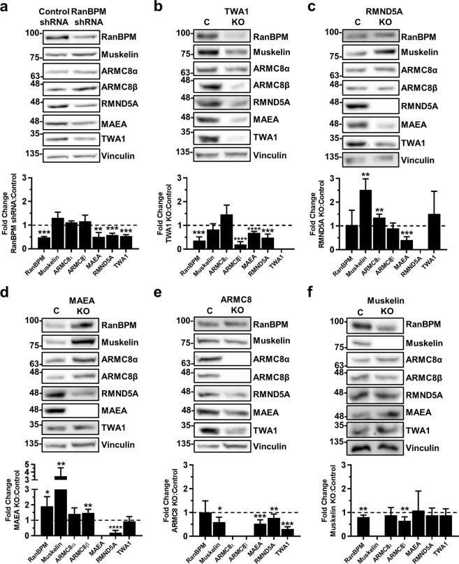 https://cdn.ncbi.nlm.nih.gov/pmc/blobs/bcd3/6614414/2d77f25fa5bd/41598_2019_46279_Fig3_HTML.jpg