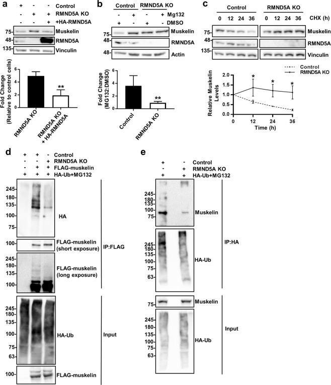 https://cdn.ncbi.nlm.nih.gov/pmc/blobs/bcd3/6614414/3c863c91a8ee/41598_2019_46279_Fig7_HTML.jpg