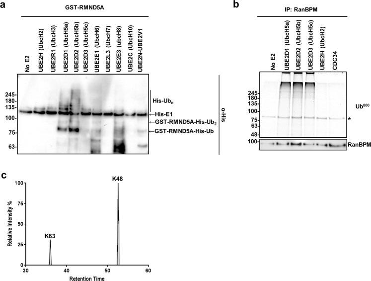 https://cdn.ncbi.nlm.nih.gov/pmc/blobs/bcd3/6614414/ad01896751ce/41598_2019_46279_Fig6_HTML.jpg