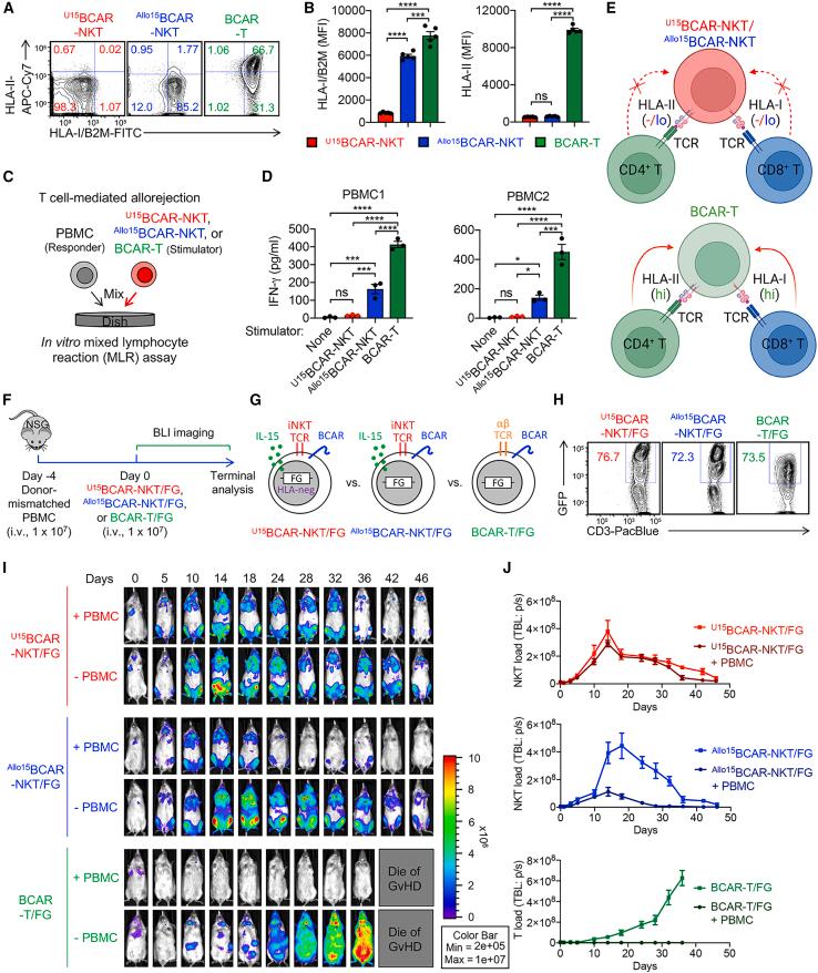 https://cdn.ncbi.nlm.nih.gov/pmc/blobs/bcd4/11184334/27cc16bd27ad/gr3.jpg