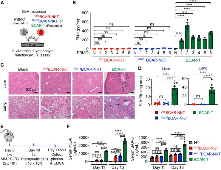 https://cdn.ncbi.nlm.nih.gov/pmc/blobs/bcd4/11184334/61dca3fbdac7/gr8.jpg