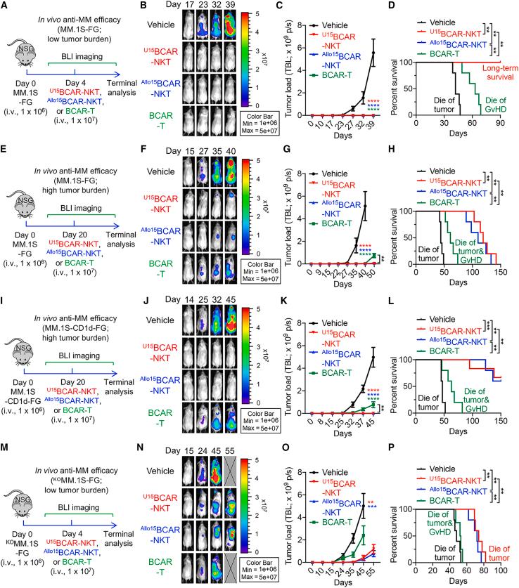 https://cdn.ncbi.nlm.nih.gov/pmc/blobs/bcd4/11184334/b5ccb75951ae/gr5.jpg