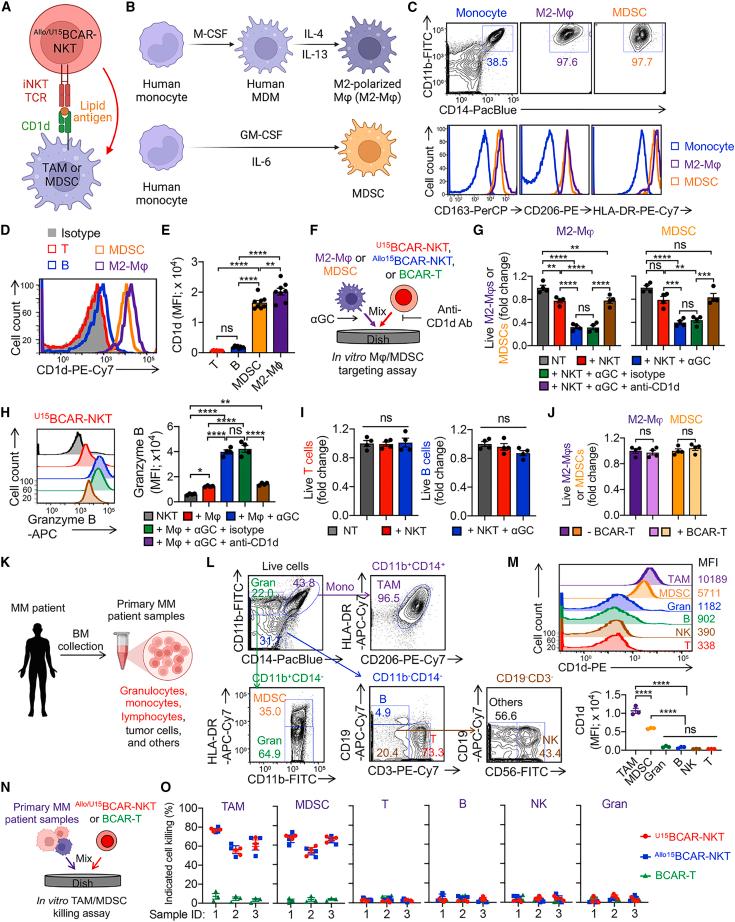 https://cdn.ncbi.nlm.nih.gov/pmc/blobs/bcd4/11184334/c1dbc32c3f65/gr7.jpg
