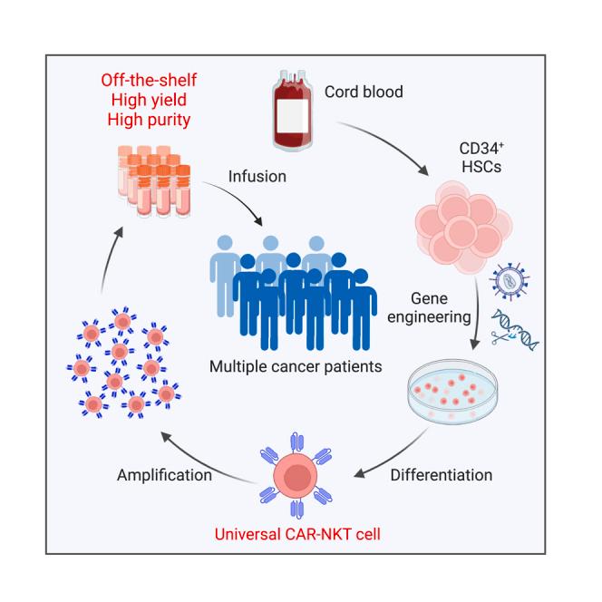 https://cdn.ncbi.nlm.nih.gov/pmc/blobs/bcd4/11184334/dbfe9d5ac897/fx1.jpg