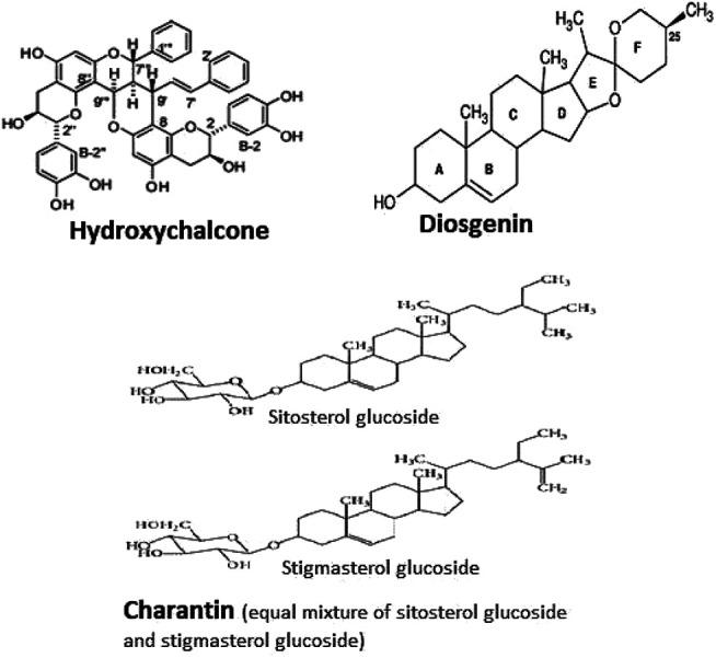 https://cdn.ncbi.nlm.nih.gov/pmc/blobs/bcd4/8117003/43ea7317a11e/fphar-12-629272-g001.jpg
