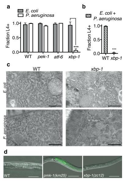 https://cdn.ncbi.nlm.nih.gov/pmc/blobs/bcd7/2834299/ac0184c68958/nihms-165358-f0002.jpg