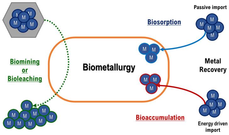 https://cdn.ncbi.nlm.nih.gov/pmc/blobs/bcd7/8157027/826fdc29629f/ijerph-18-05228-g002.jpg