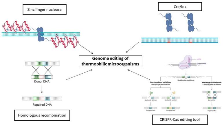 https://cdn.ncbi.nlm.nih.gov/pmc/blobs/bcd7/8157027/c564f61d7e3d/ijerph-18-05228-g005.jpg