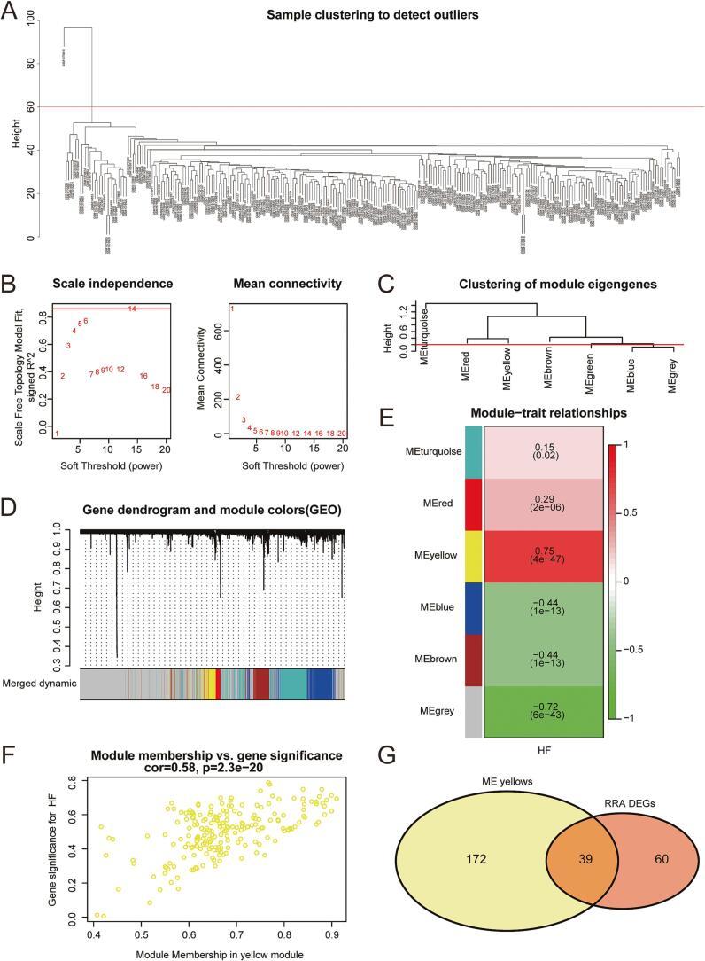 https://cdn.ncbi.nlm.nih.gov/pmc/blobs/bcd9/10869931/1f57dac52af4/gr5.jpg