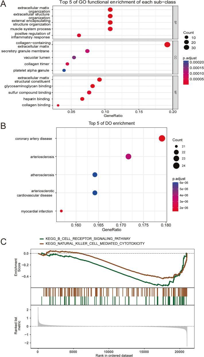 https://cdn.ncbi.nlm.nih.gov/pmc/blobs/bcd9/10869931/2bf639f95628/gr6.jpg