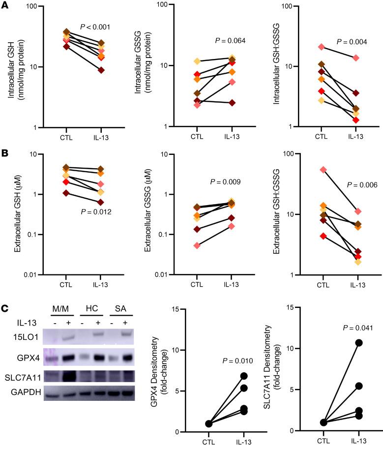 https://cdn.ncbi.nlm.nih.gov/pmc/blobs/bcd9/8718153/6e9d18a3e06f/jci-132-151685-g138.jpg