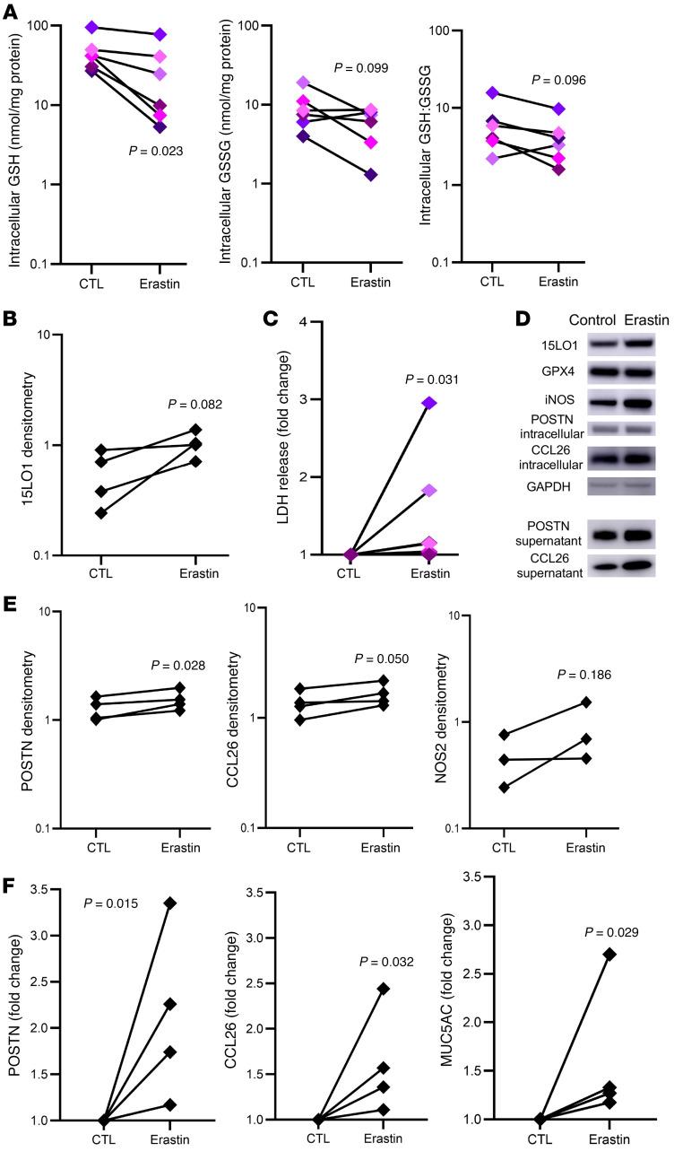 https://cdn.ncbi.nlm.nih.gov/pmc/blobs/bcd9/8718153/83517d6eadde/jci-132-151685-g140.jpg