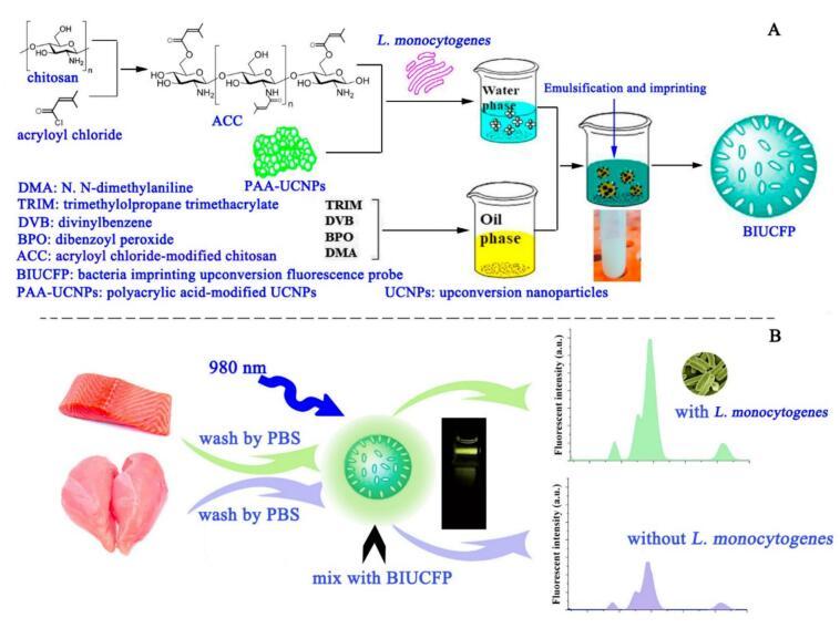https://cdn.ncbi.nlm.nih.gov/pmc/blobs/bcda/11279690/28731db865c5/sc1.jpg