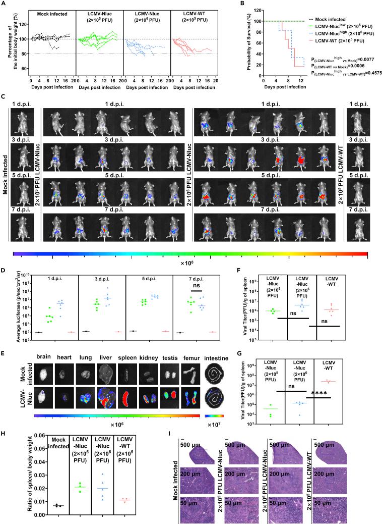 https://cdn.ncbi.nlm.nih.gov/pmc/blobs/bcda/9519613/315ef351bef1/gr3.jpg