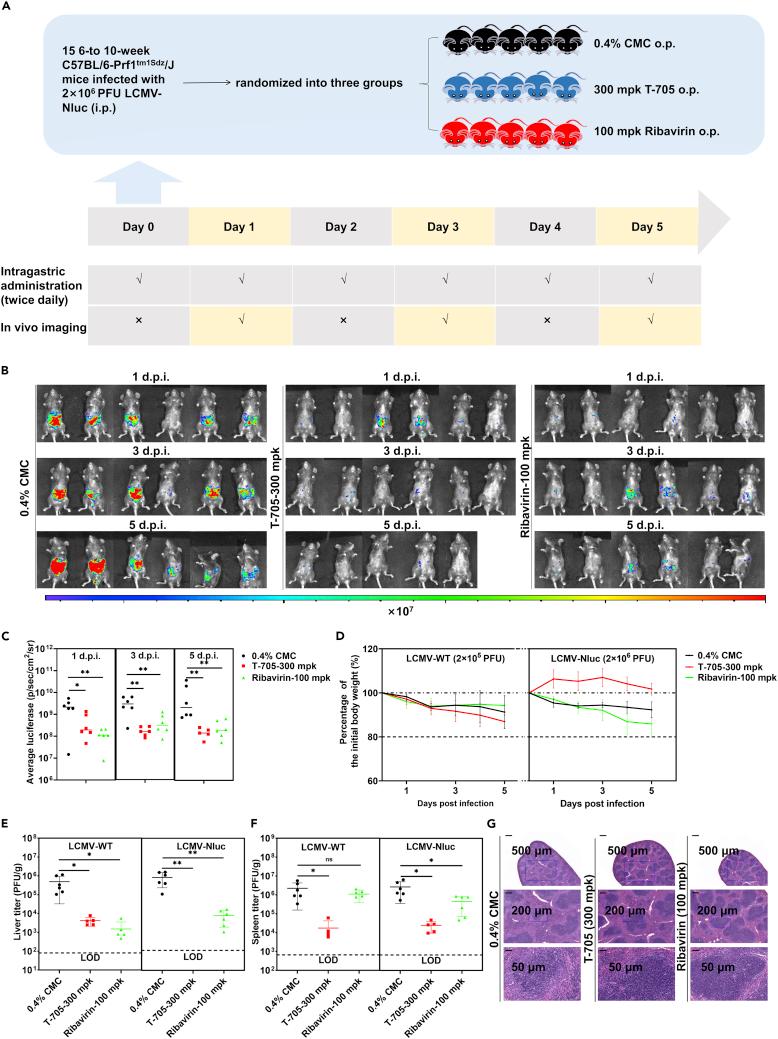 https://cdn.ncbi.nlm.nih.gov/pmc/blobs/bcda/9519613/bf9ff786fb6c/gr4.jpg