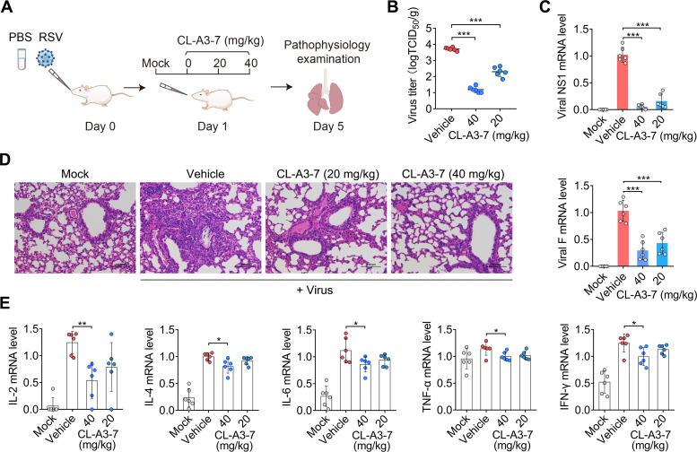 https://cdn.ncbi.nlm.nih.gov/pmc/blobs/bcdb/11389407/83a3ed77fb43/mbio.01385-24.f005.jpg