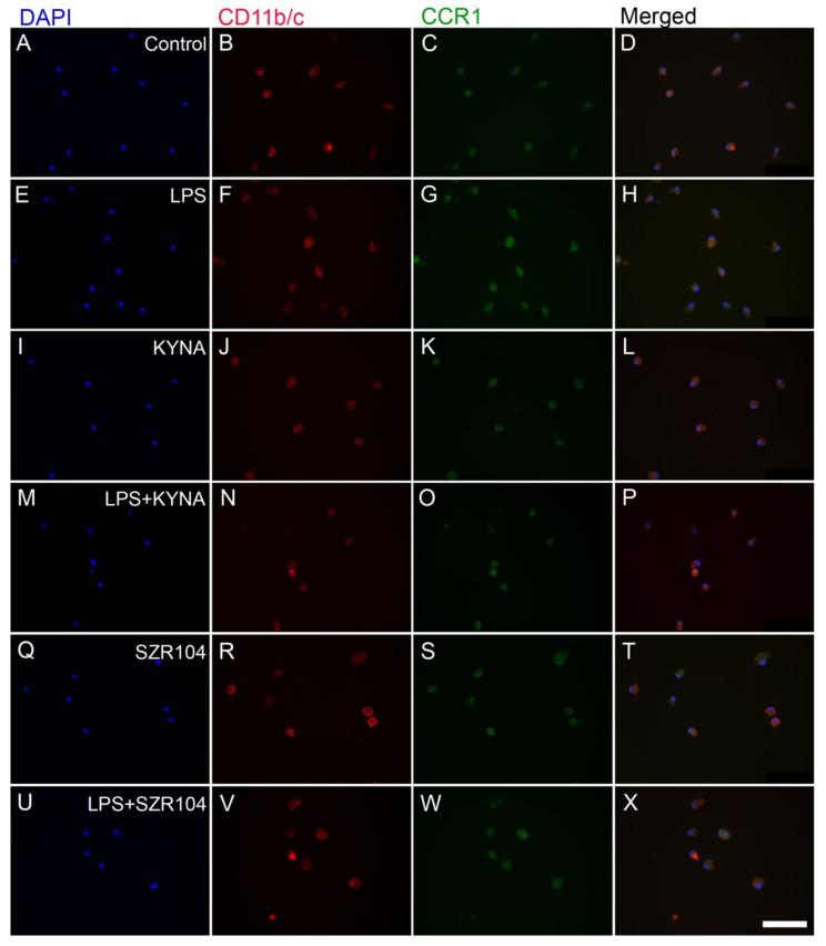 https://cdn.ncbi.nlm.nih.gov/pmc/blobs/bcde/8835130/3405c84d70f7/ijms-23-01079-g003.jpg