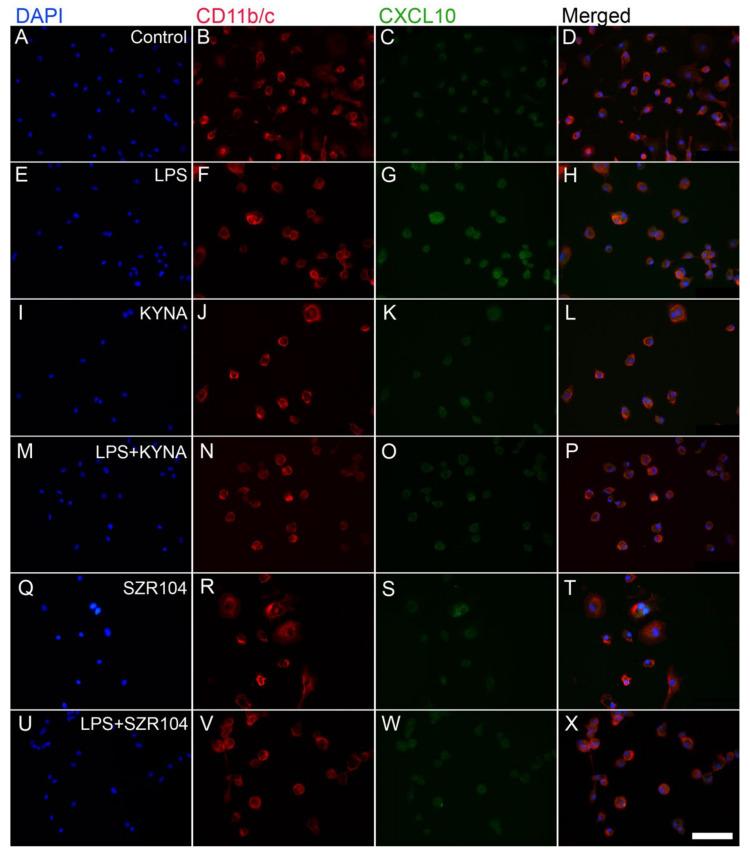 https://cdn.ncbi.nlm.nih.gov/pmc/blobs/bcde/8835130/5d17337ca238/ijms-23-01079-g001.jpg