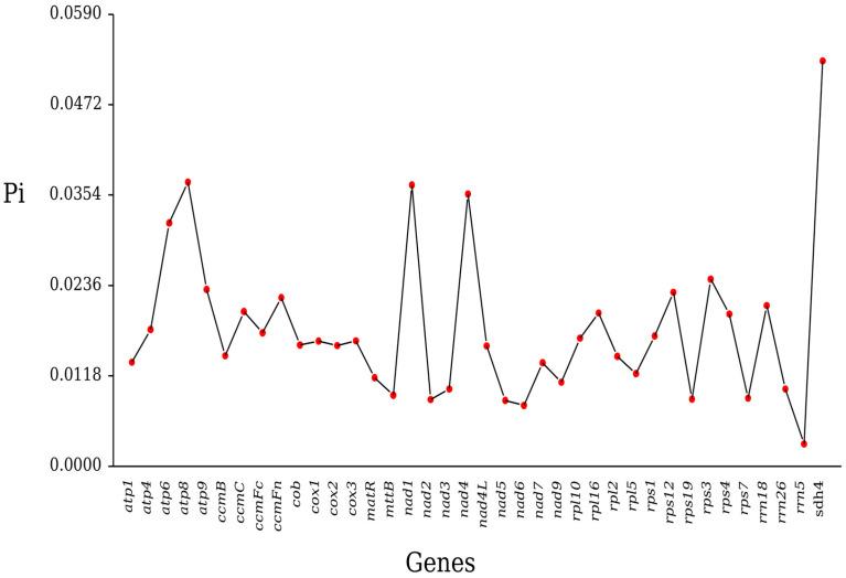 https://cdn.ncbi.nlm.nih.gov/pmc/blobs/bcdf/12389370/d8fd4c52c988/plants-14-02547-g007.jpg