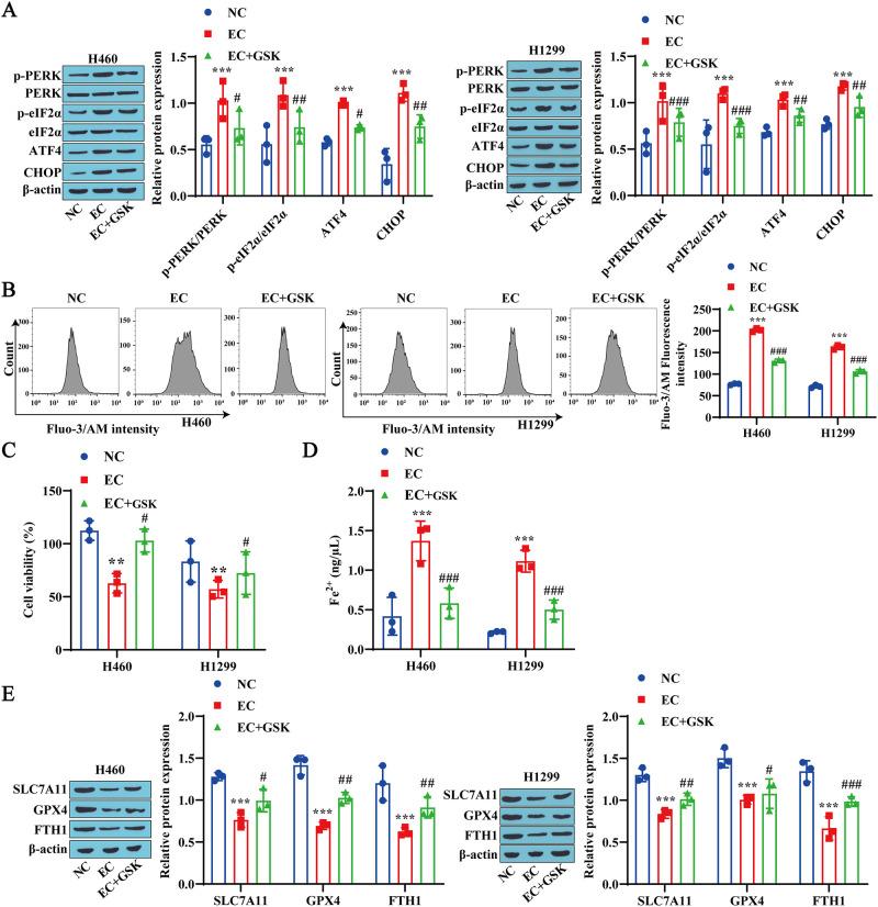 https://cdn.ncbi.nlm.nih.gov/pmc/blobs/bce1/11527276/33d28d7a85fd/pone.0313010.g006.jpg