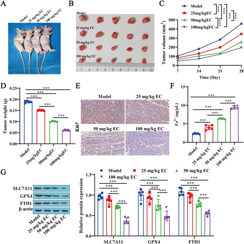https://cdn.ncbi.nlm.nih.gov/pmc/blobs/bce1/11527276/bbed08230b07/pone.0313010.g001.jpg